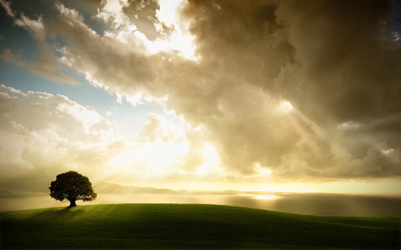 直播封面